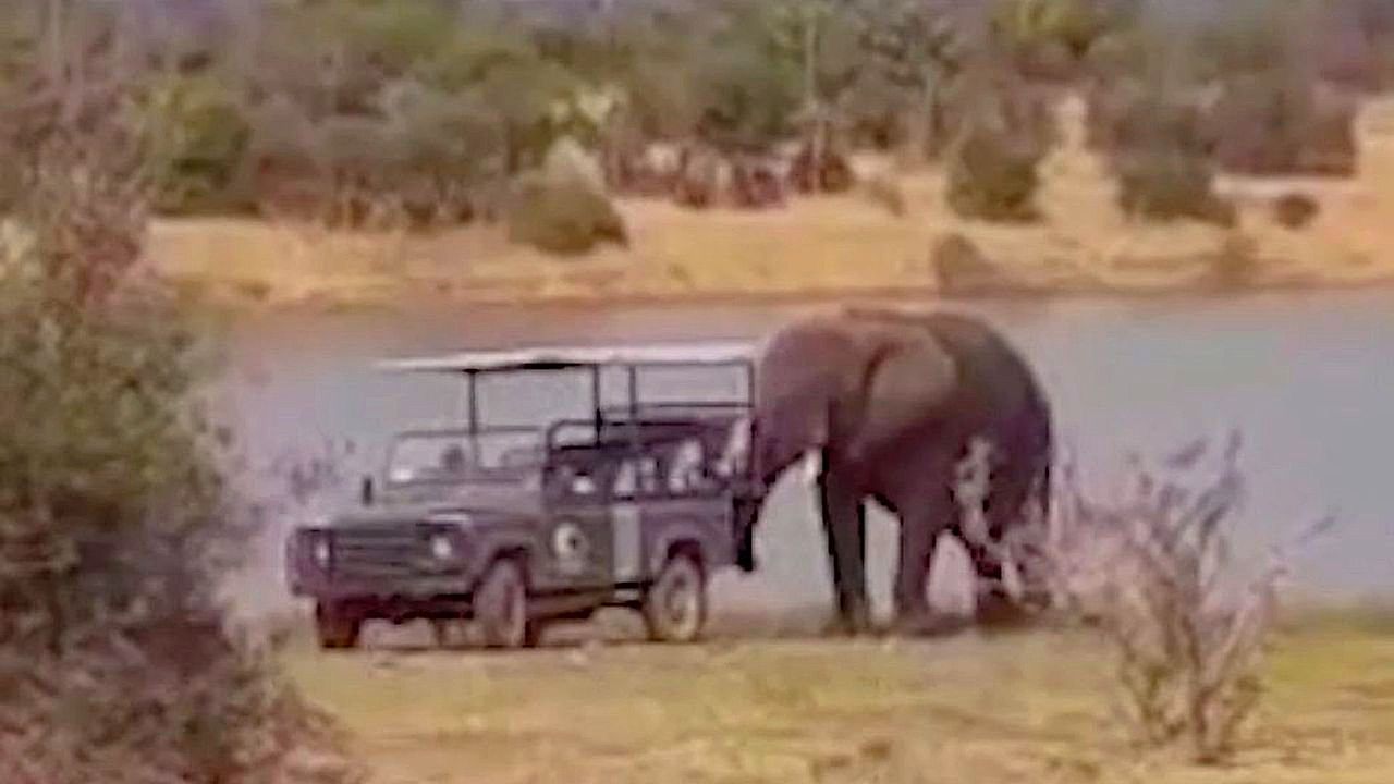 Helpful elephant pushes jeep free from mud in South Africa