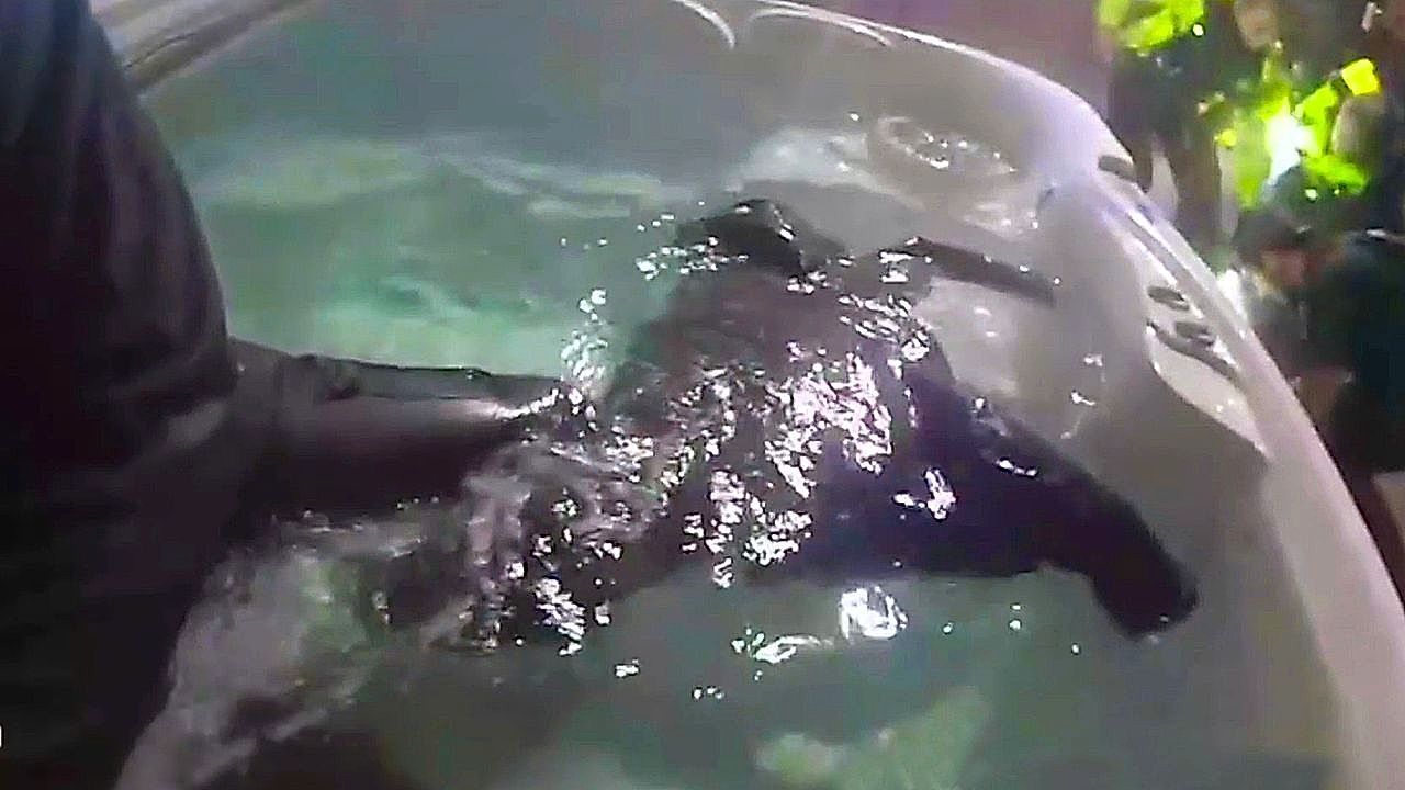 Peinliche-Aktion-Autodiebe-verstecken-sich-im-Whirlpool-vor-der-Polizei