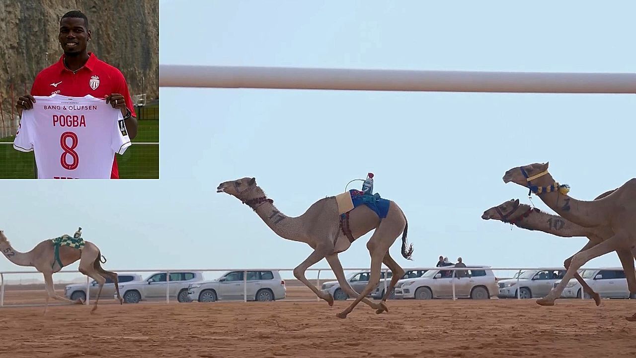FILE: Paul Pogba invests in Saudi Arabian camel racing team