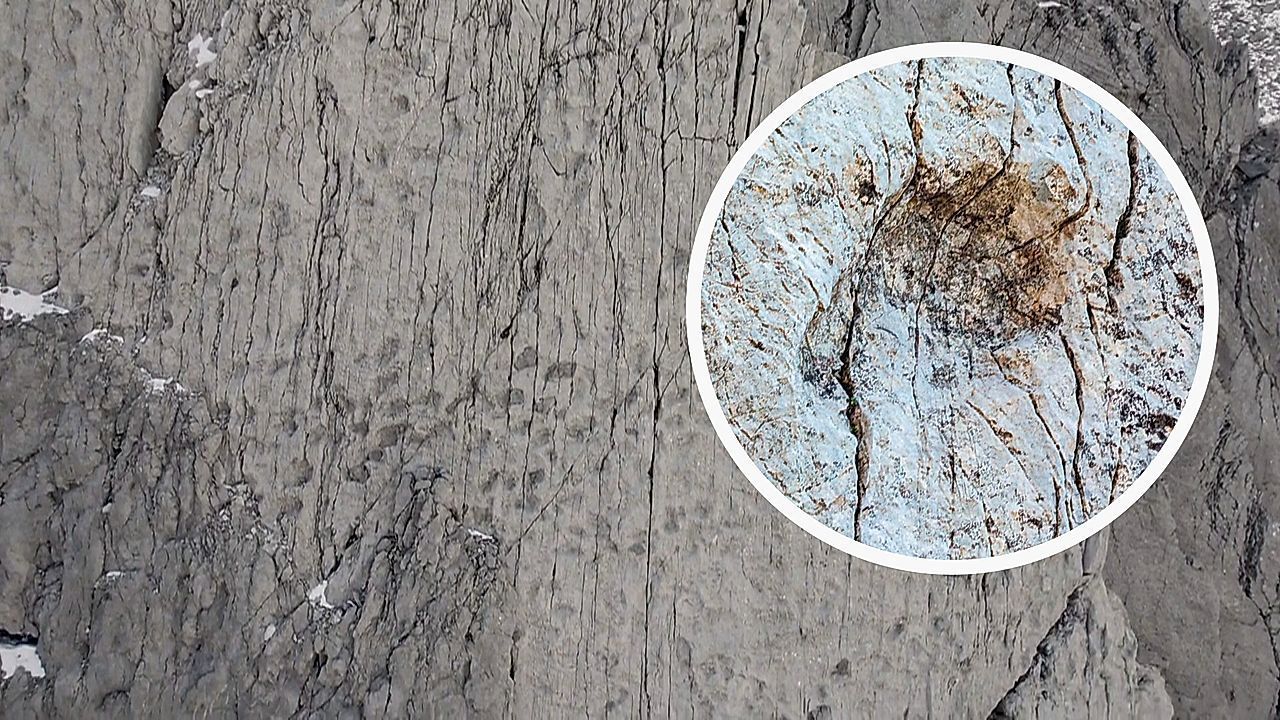 Video: Einzigartiger Fund in den Alpen: Tausende Dinosaurier-Spuren entdeckt