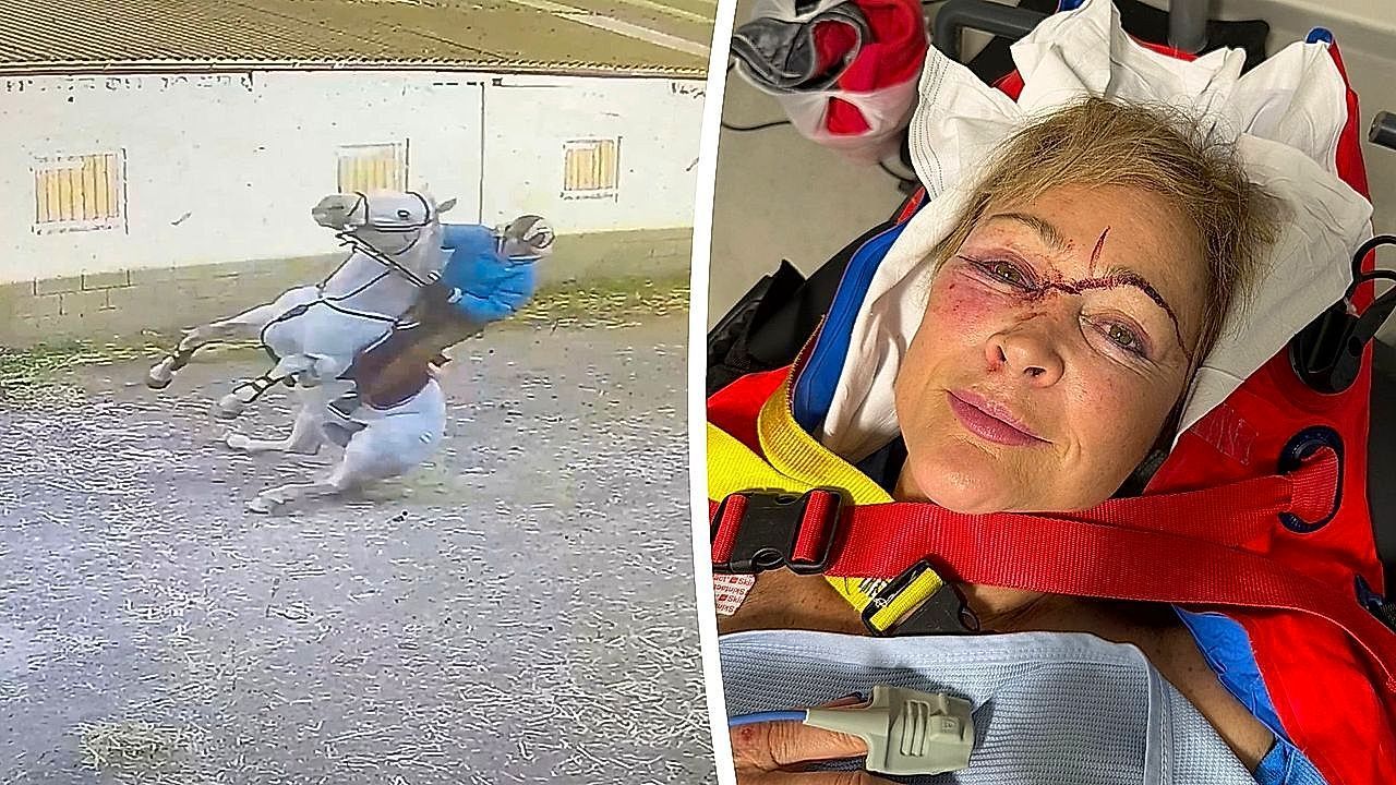 Video: Spooked by pigeon: show-jumping horse causes dramatic fall