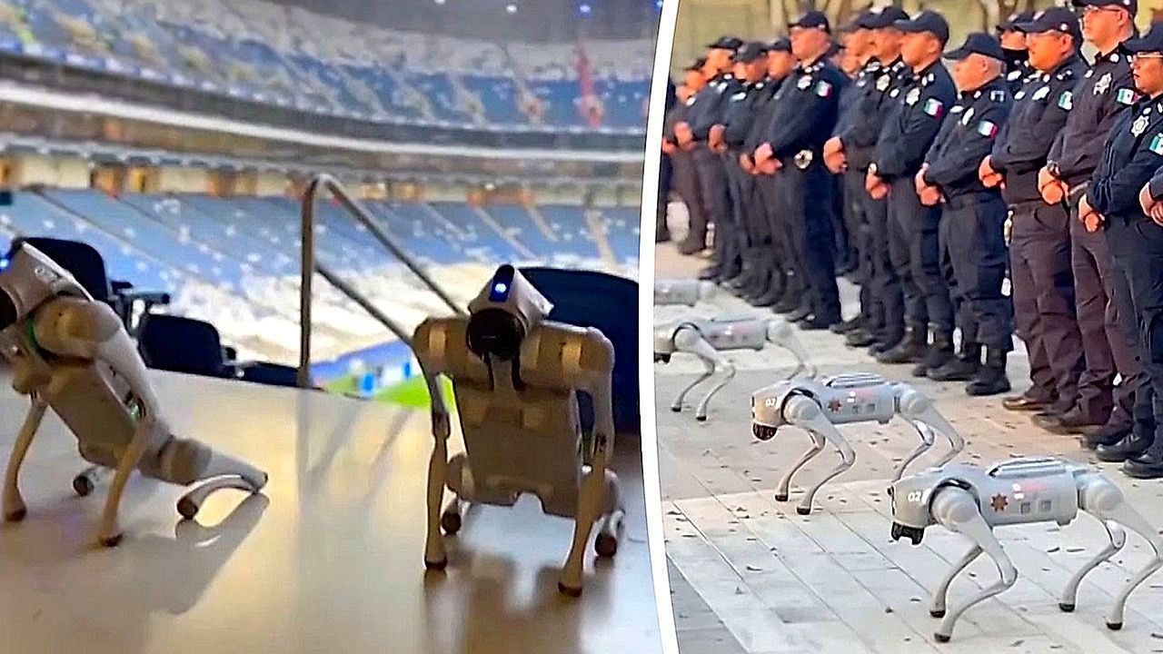 Video: Robo-Dogs: Mexiko setzt bei WM 2026 auf Roboterhunde