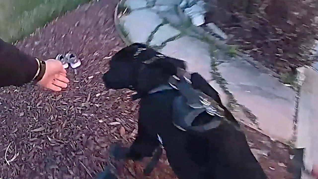 Video: Colorado police dog finds missing child within minutes on first mission