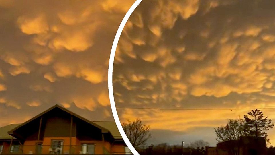 Wie Wattebällchen: Seltene Mammatus-Wolken leuchten golden über Wisconsin
