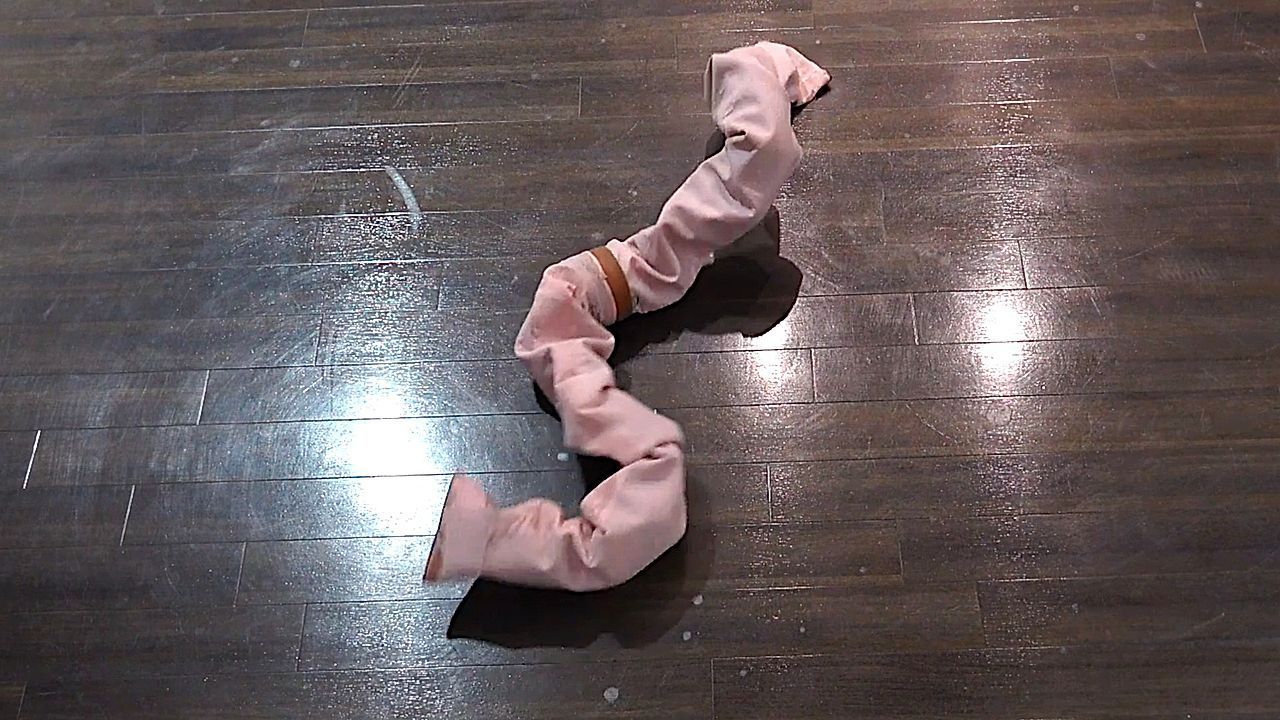 Video: Beweglich wie eine Schlange: KI-System verbessert Navigation von Schlangenrobotern