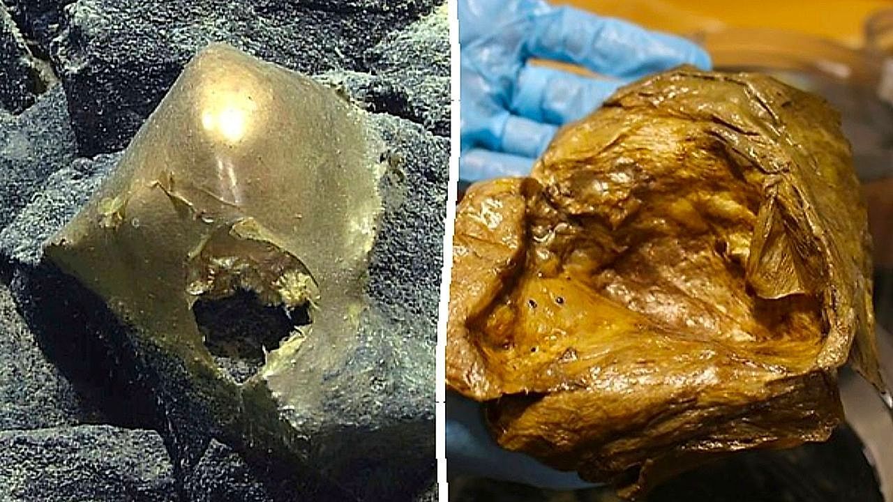 Video: Geheimnisvoller Tiefseefund: Ursprung der „goldenen Kugel“ gelüftet
