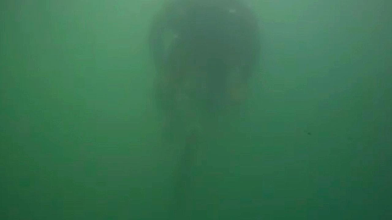 Video: Scuba divers ride bicycles underwater to mark World Bicycle Day in India