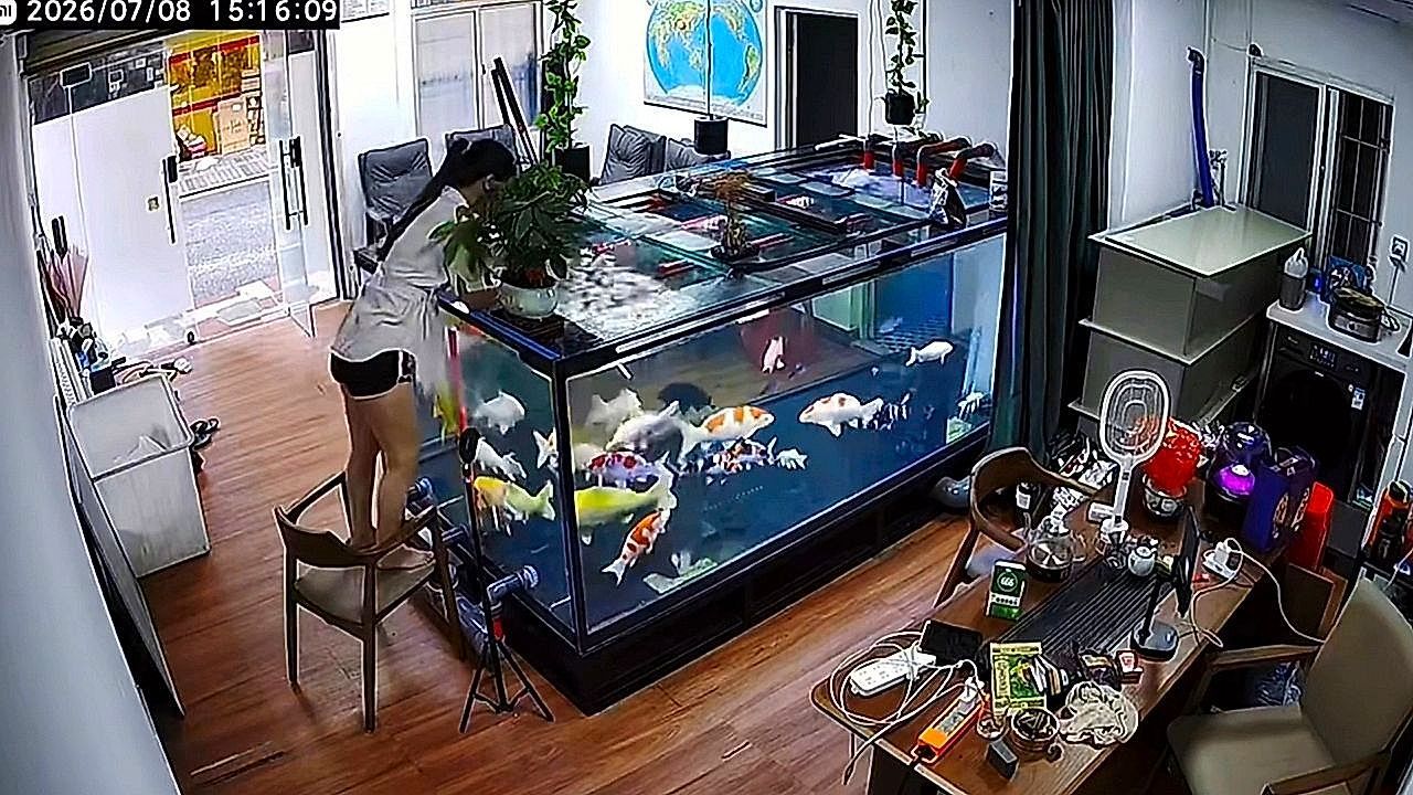 Video: Fürs Handy baden gegangen: Frau klettert in Sekundenschnelle in Aquarium