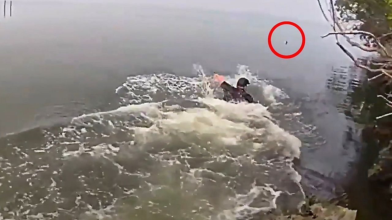Video: Maryland deputy jumps into water to rescue 9-year-old boy with autism