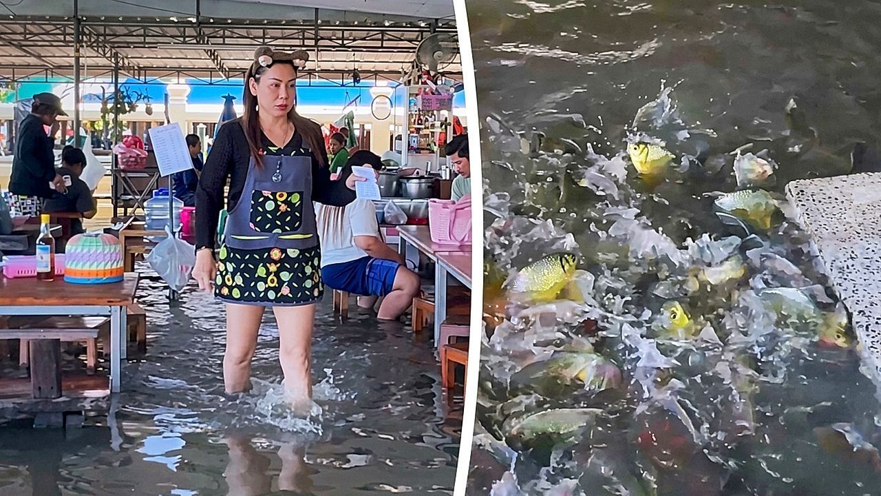 Video: Fische um die Füße: Überflutetes Restaurant in Thailand serviert Nudeln im Hochwasser