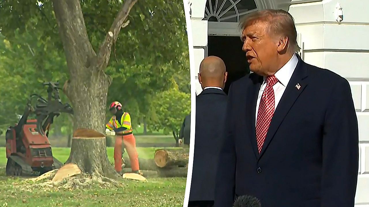 Judge halts Trump's revamp of historic golf course in Washington after 430 trees felled