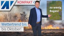 Drought and forest fires by October? Bad prognosis for Germany!