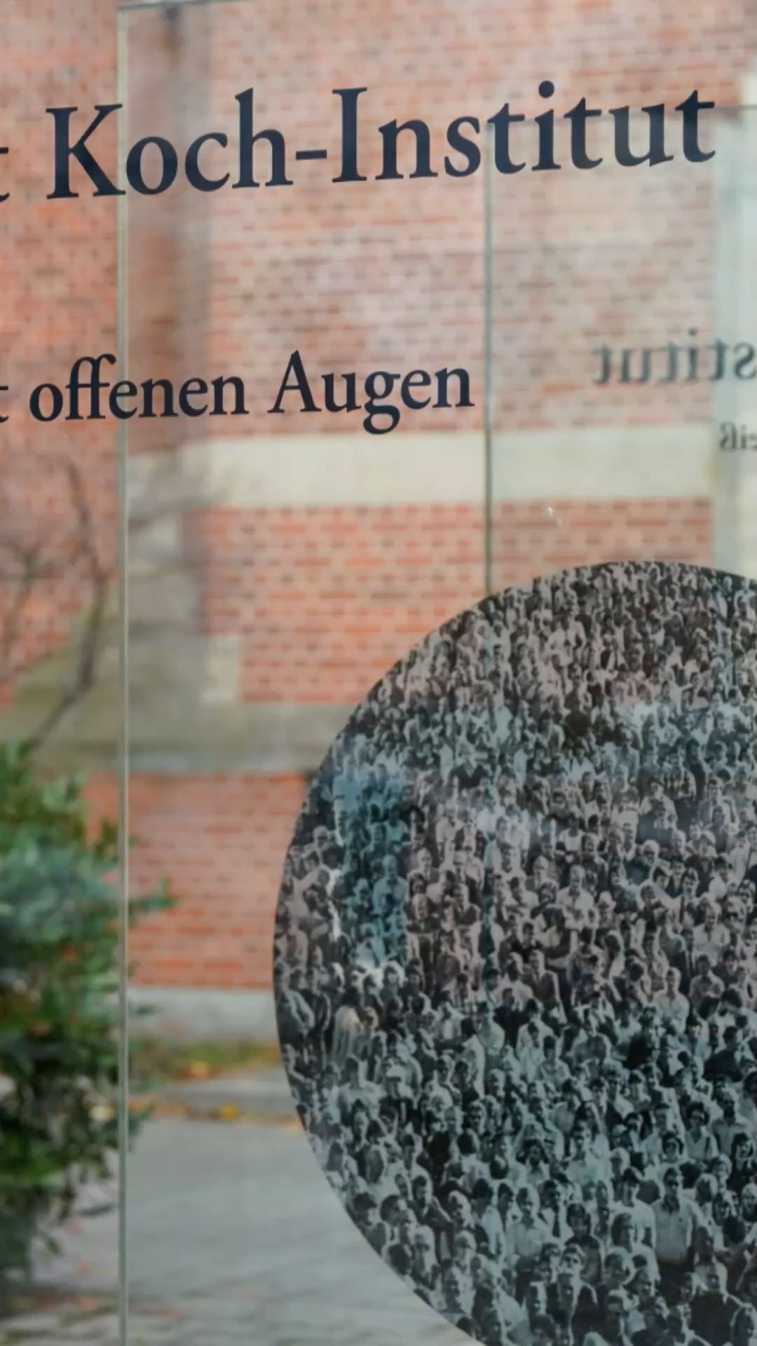 Should Magnesium and Vitamin D be taken together?