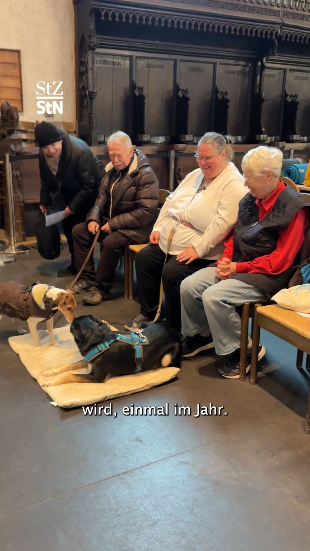 Video: Tiere beim Gottesdienst in Stuttgarter Kirche