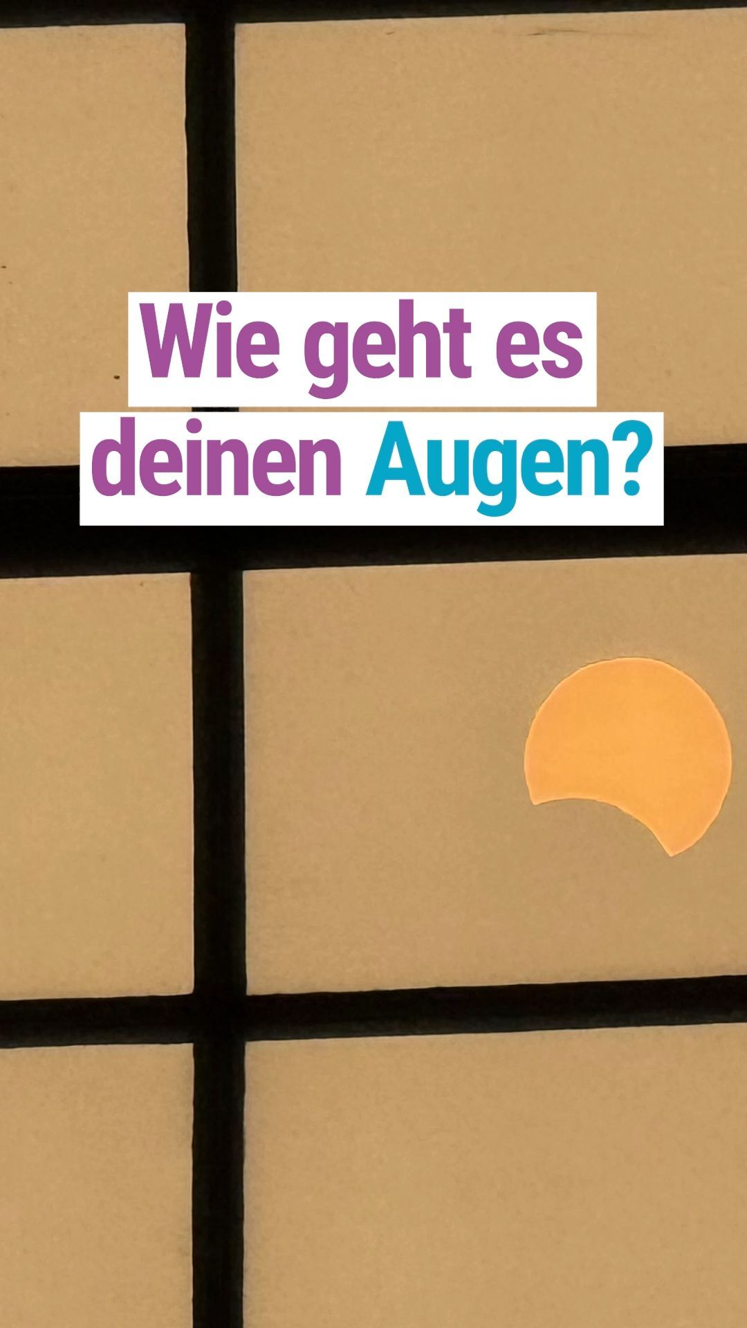 Video: Massen auf Brücken und Eventcharakter der Sonnenfinsternis - wie es erlebt wurde