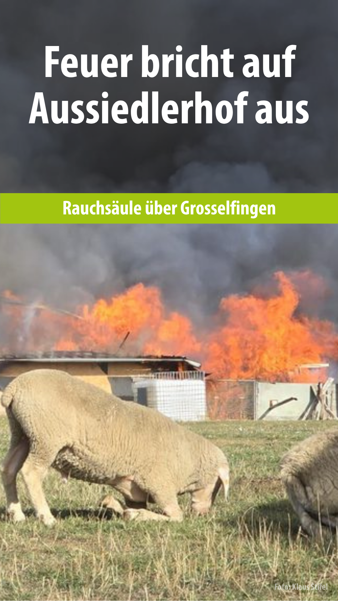 Video: Geflügelhof brennt