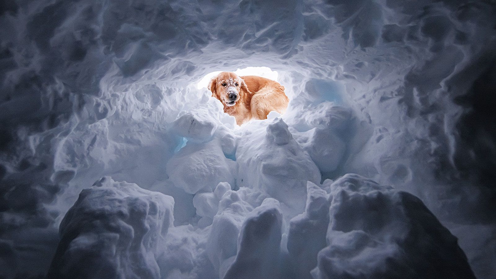 Von einer Lawine verschüttet - Wie Du Dich richtig verhältst, um am Leben zu bleiben