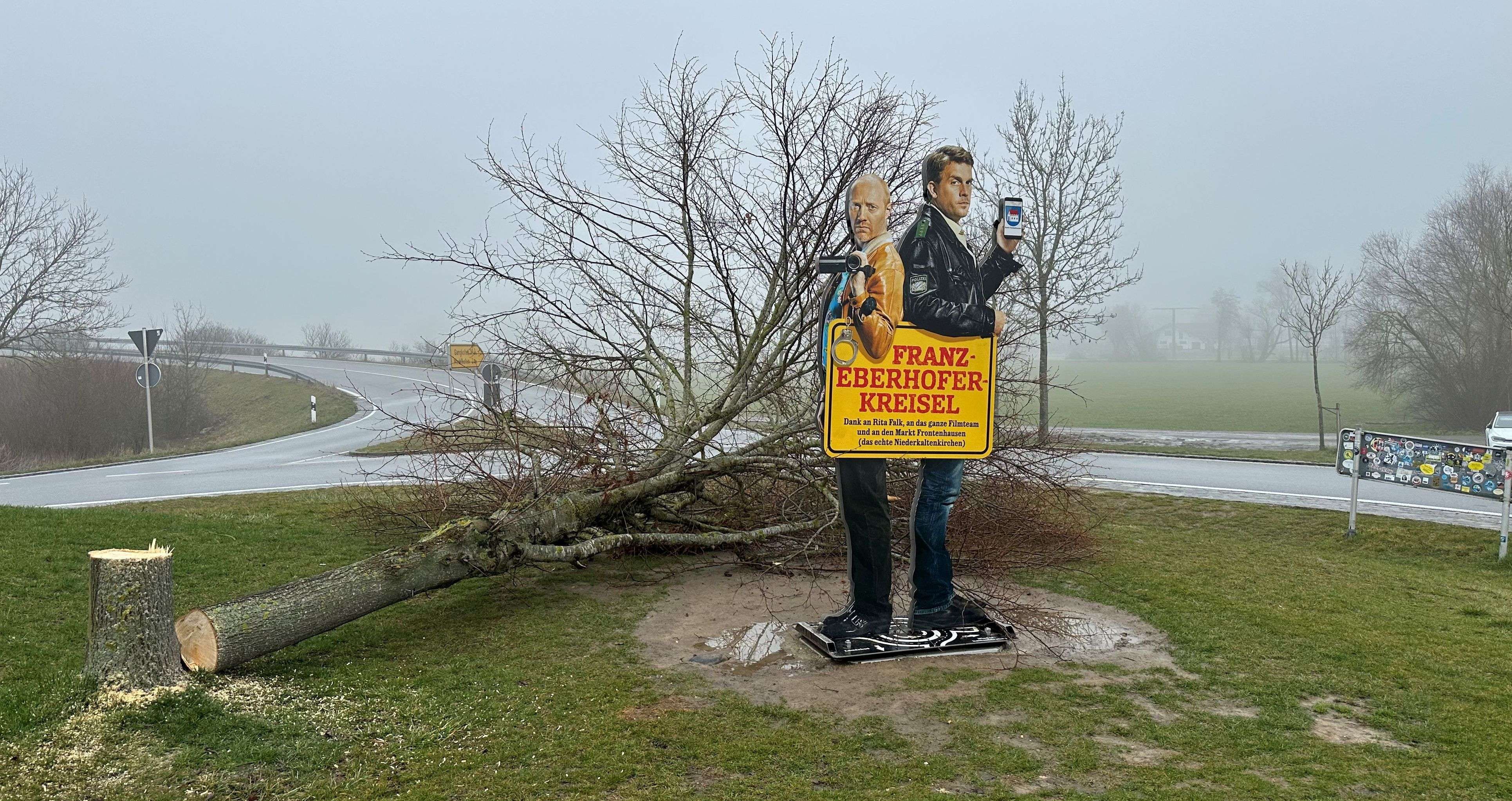 „Skandal!“ Baum im Eberhofer-Kreisel in Frontenhausen gefällt