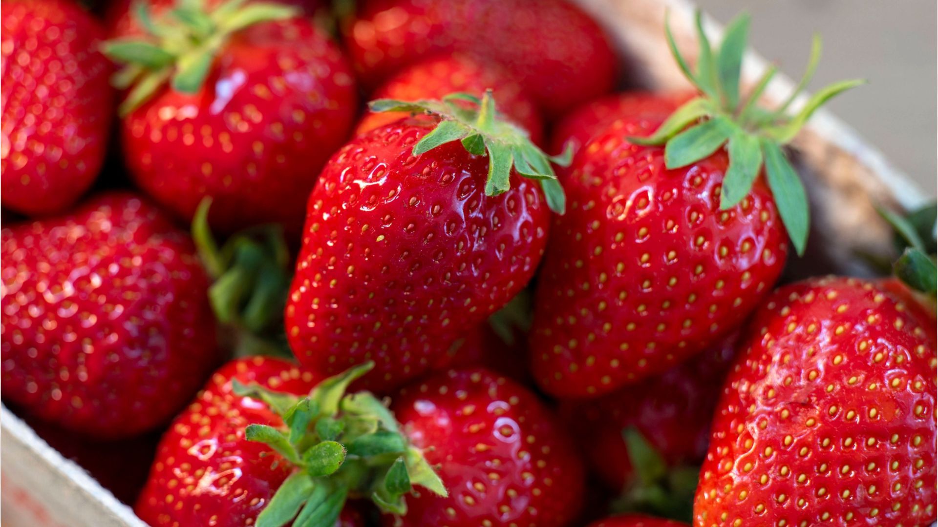 Tipps zur Erdbeerzeit: So gibt es den größten Genuss