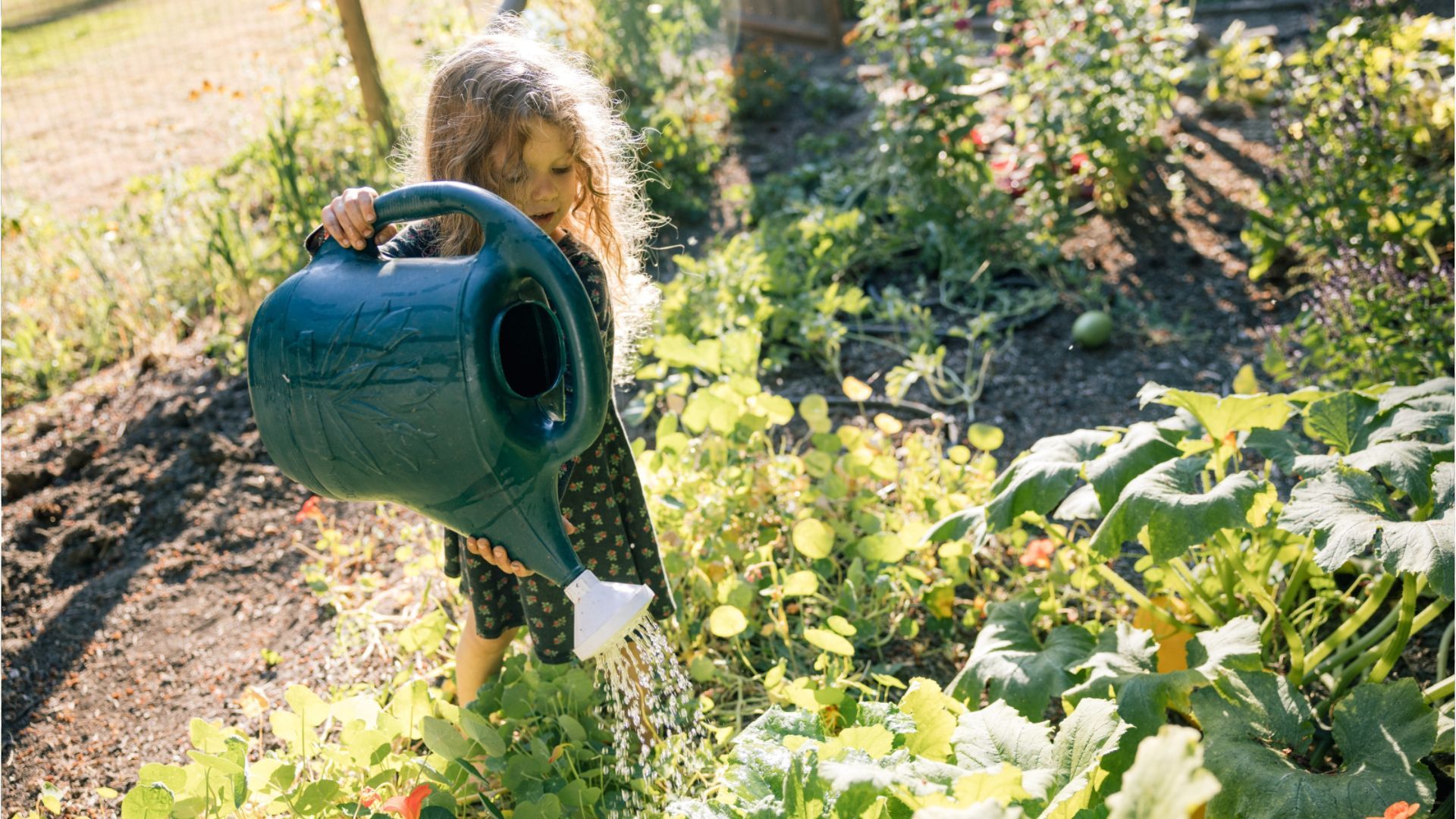 Garten und Balkon: So überleben die Pflanzen den Urlaub