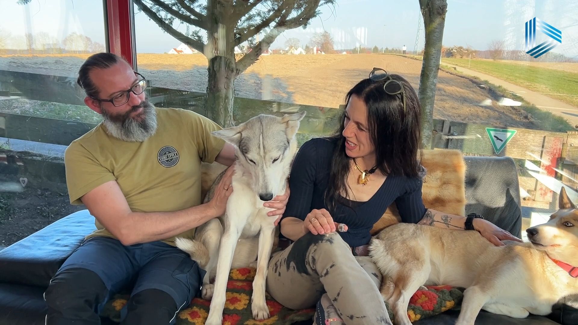 Die schnellen Hunde von Stätzling