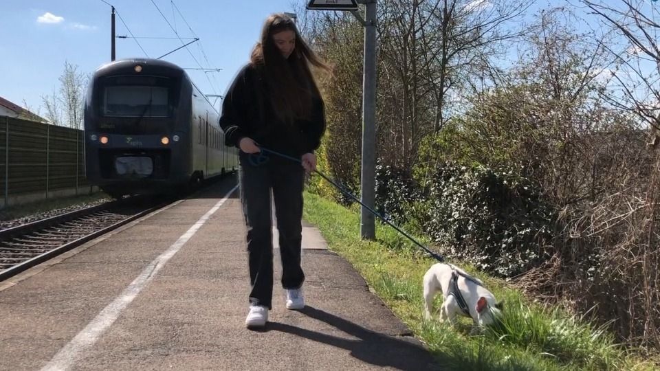 Video: Hund Chudik fährt alleine mit dem Zug von Ernsgaden nach Regensburg