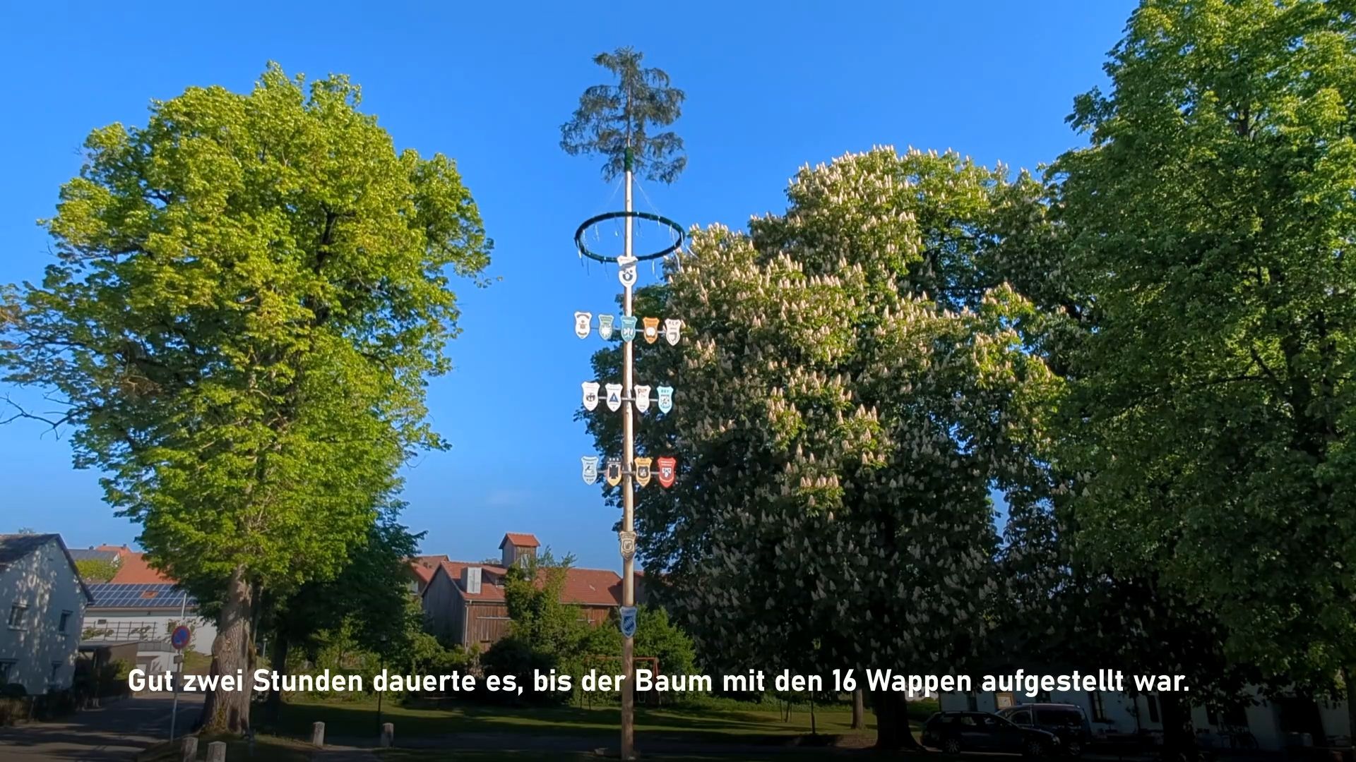 Maibaum-Aufstellen im Landkreis Regensburg