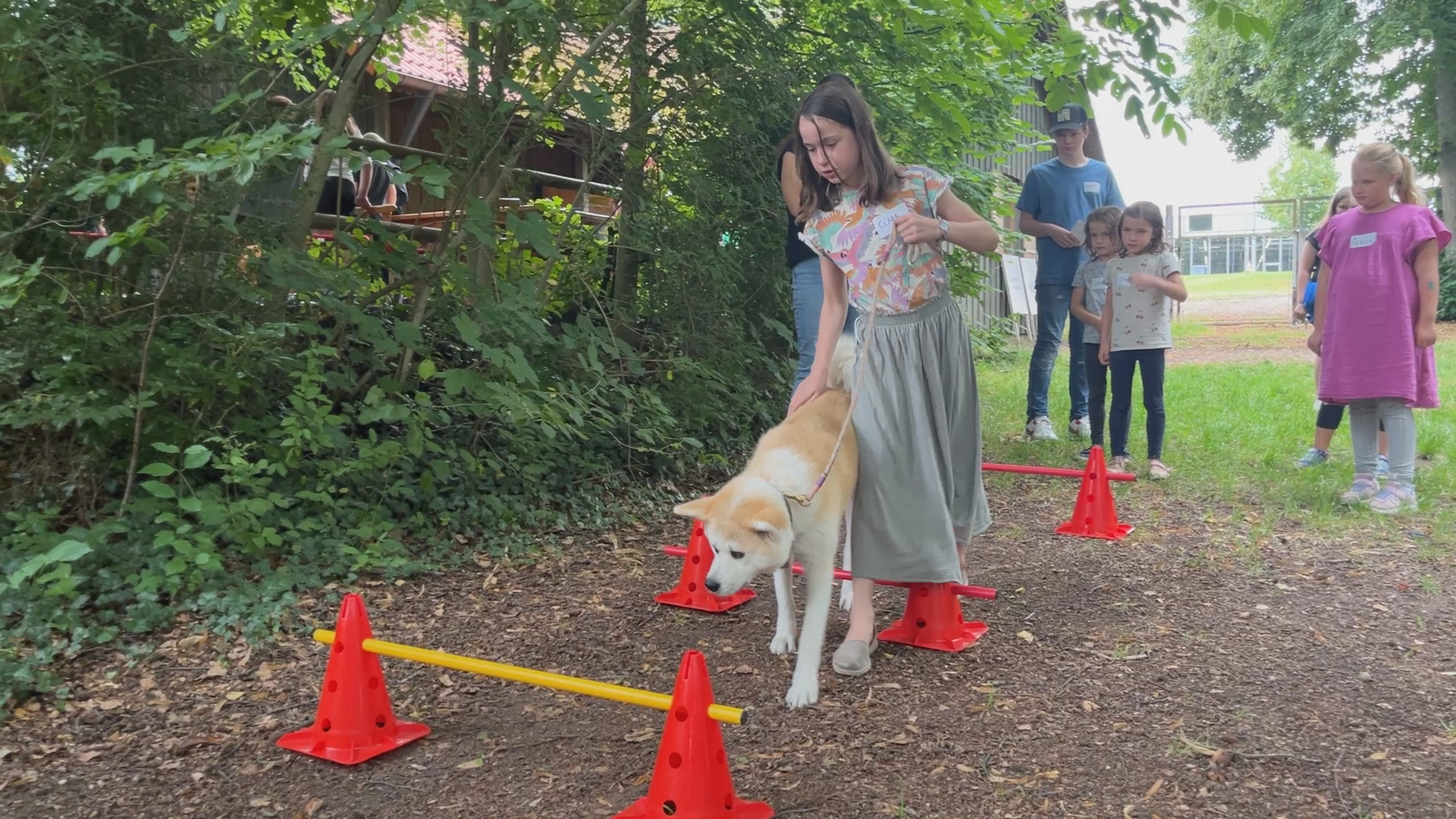Video: Wie man Hunde als Freunde gewinnt: Awo Pfaffenhofen nimmt Kindern die Angst