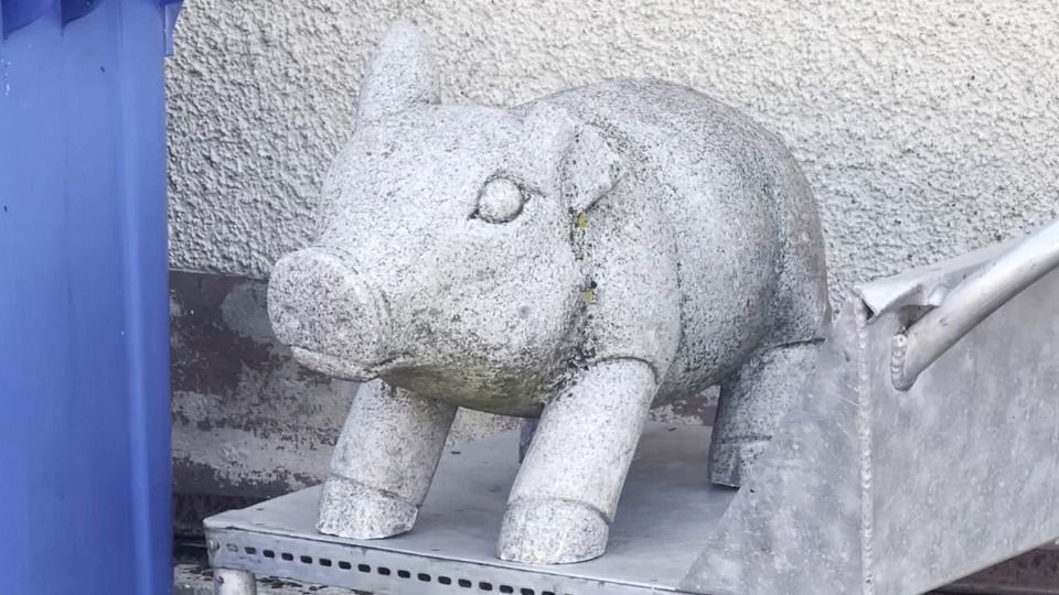 Video: „Rudi Rüssel“ ist wieder zu Hause, aber ihm fehlt ein Ohr