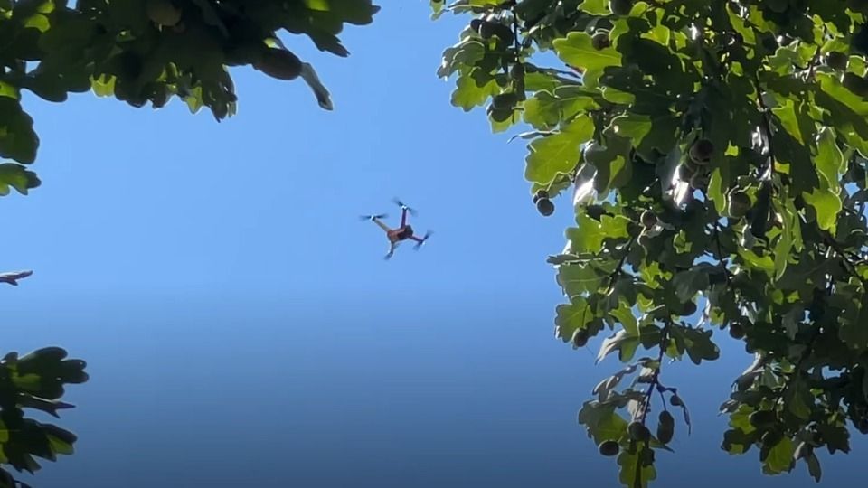 Video: KI und Drohnen gegen Waldbrände