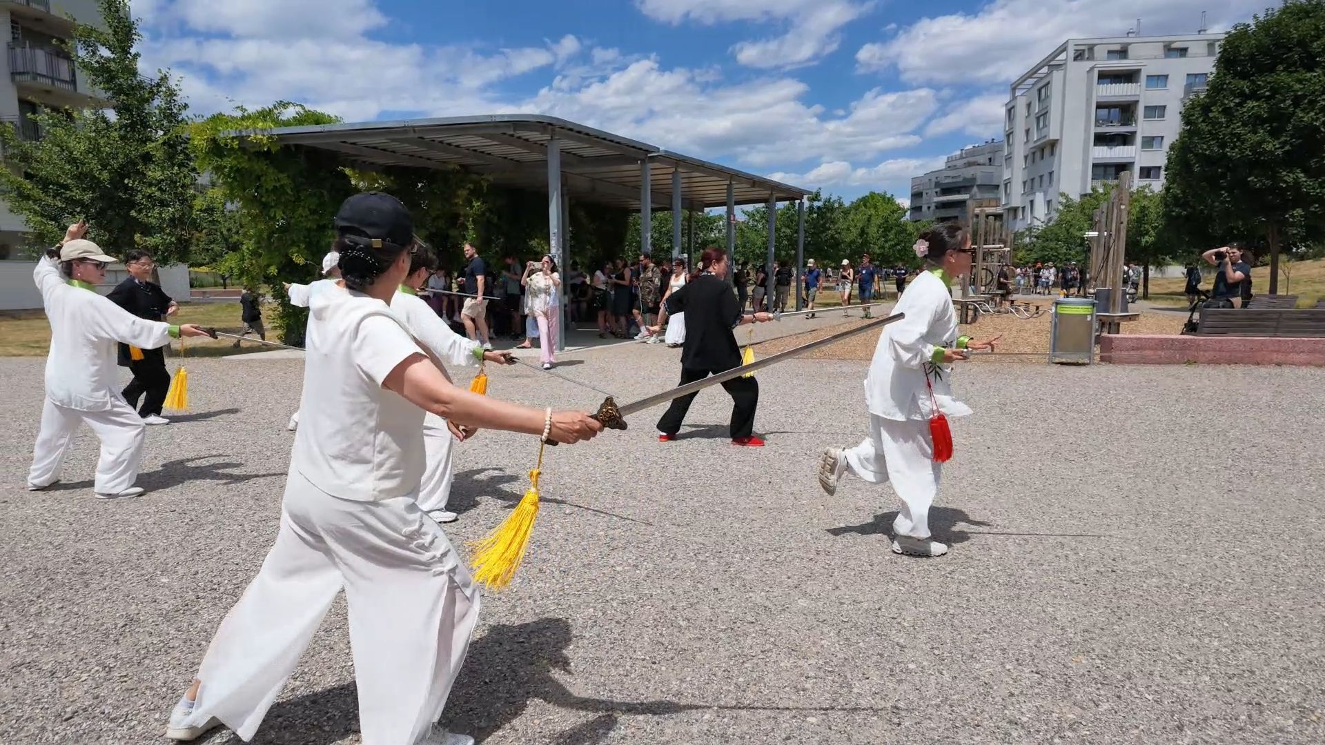 Chinese pensioners bring Tai Chi to Vienna's parks