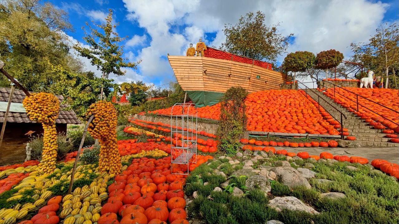 Herbstzeit: Norbert Schweins on a pumpkin farm in the Teutoburg Forest