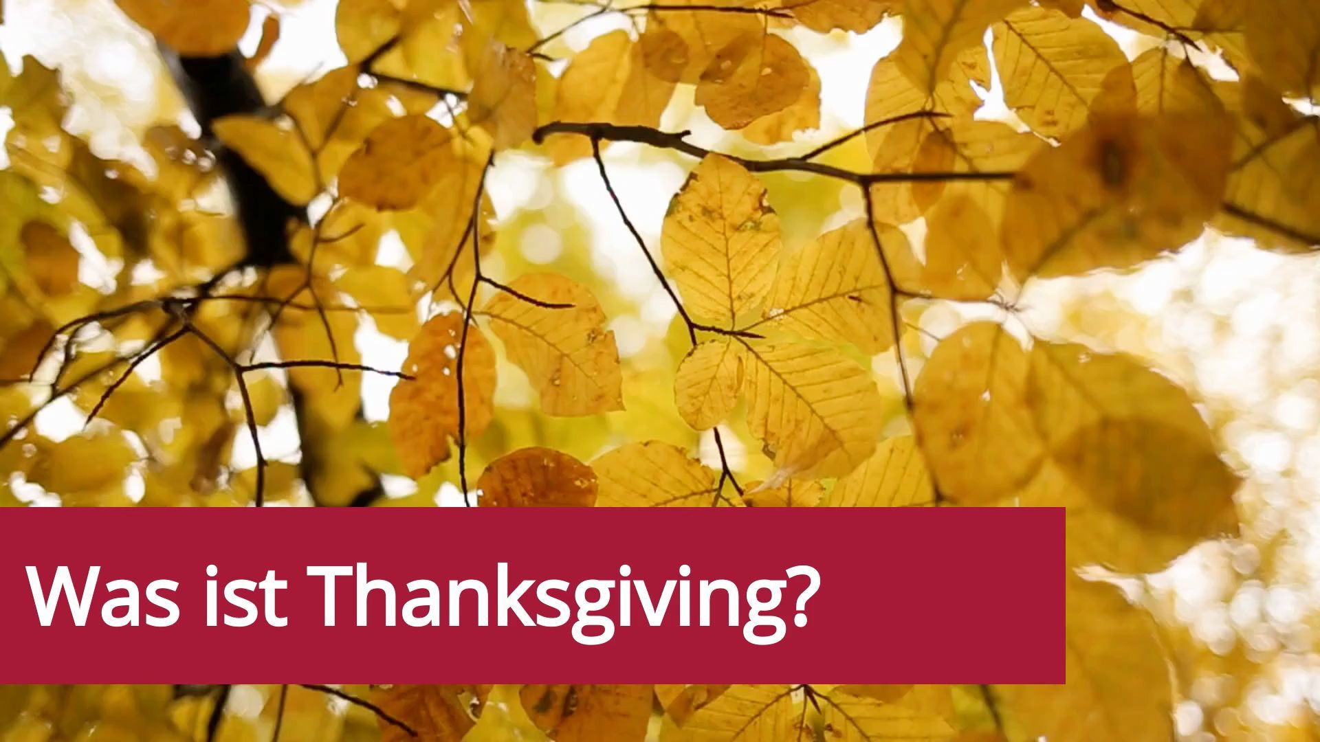 Was ist Thanksgiving?