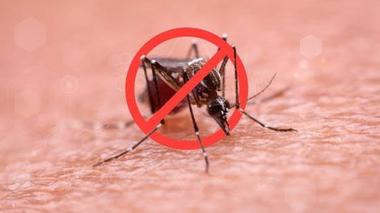 Was ist Dengue-Fieber? Symptome erklärt