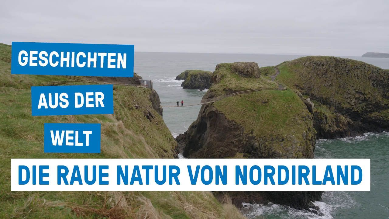 Climbing Sheep, Suspension Bridges, and Nesting Seagulls in Northern Ireland! - Stories from the World