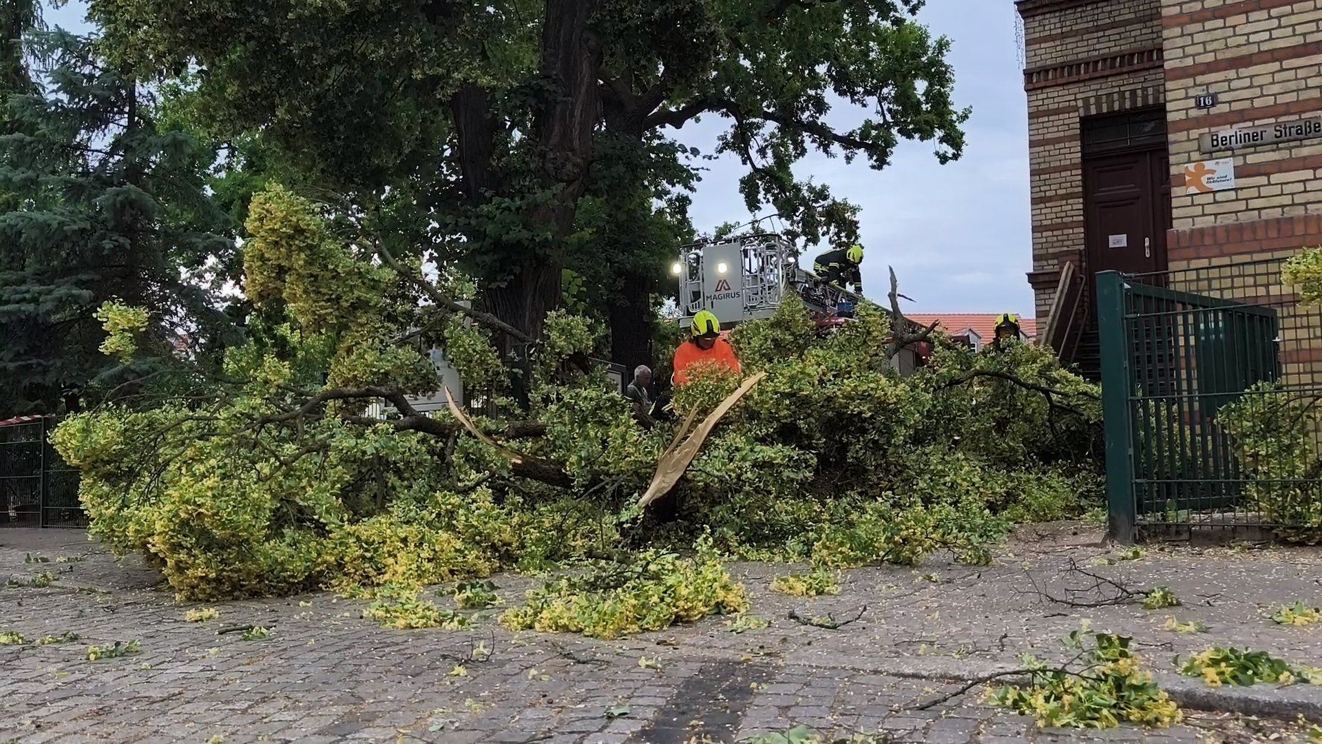 Video: Sturmtief Ziros wütet in Berlin und Brandenburg mit bis zu 108 km/h - zwei Menschen sterben