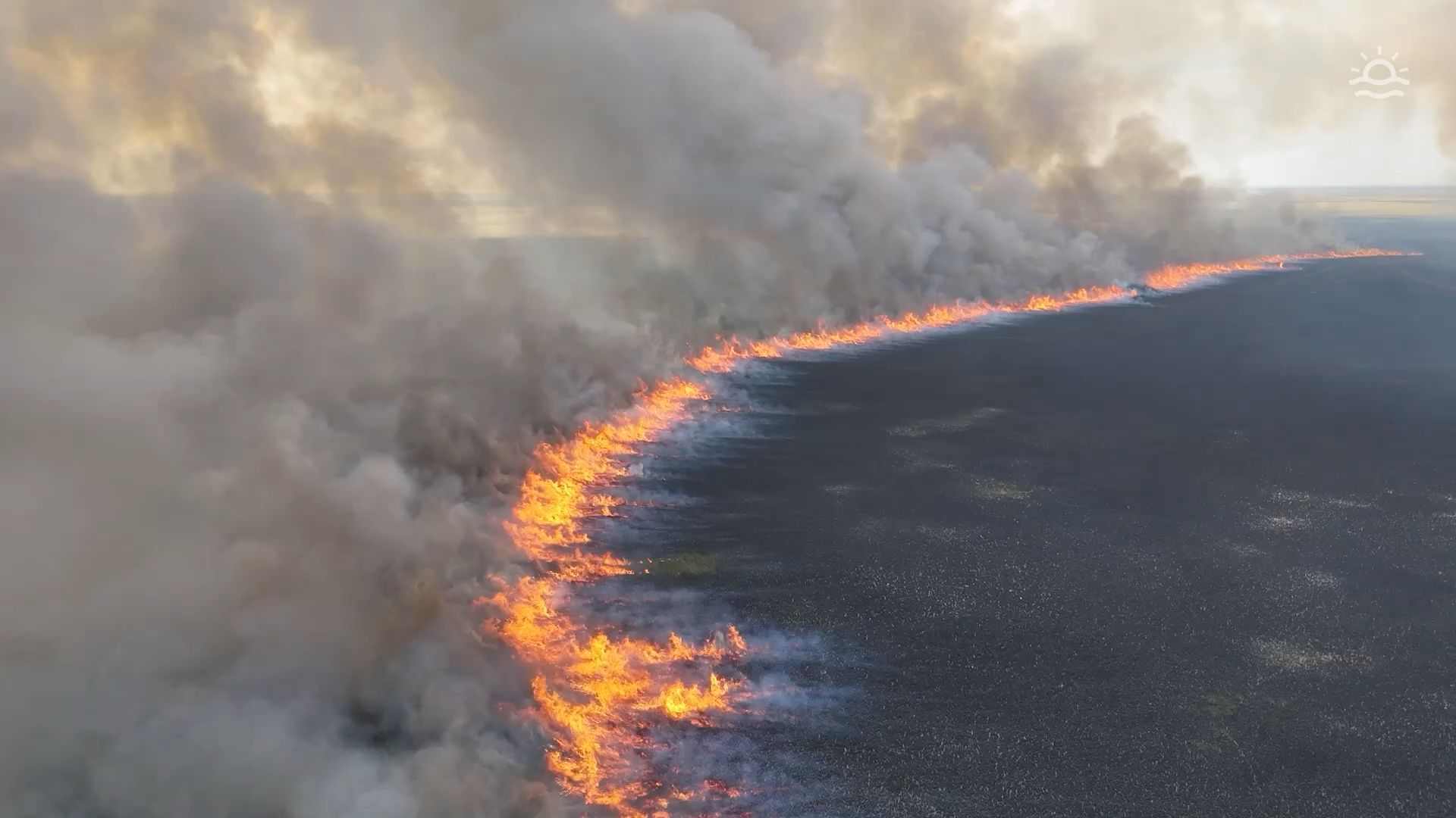 Video: Massive Feuerwalze in Florida: Riesiger Waldbrand in den Everglades