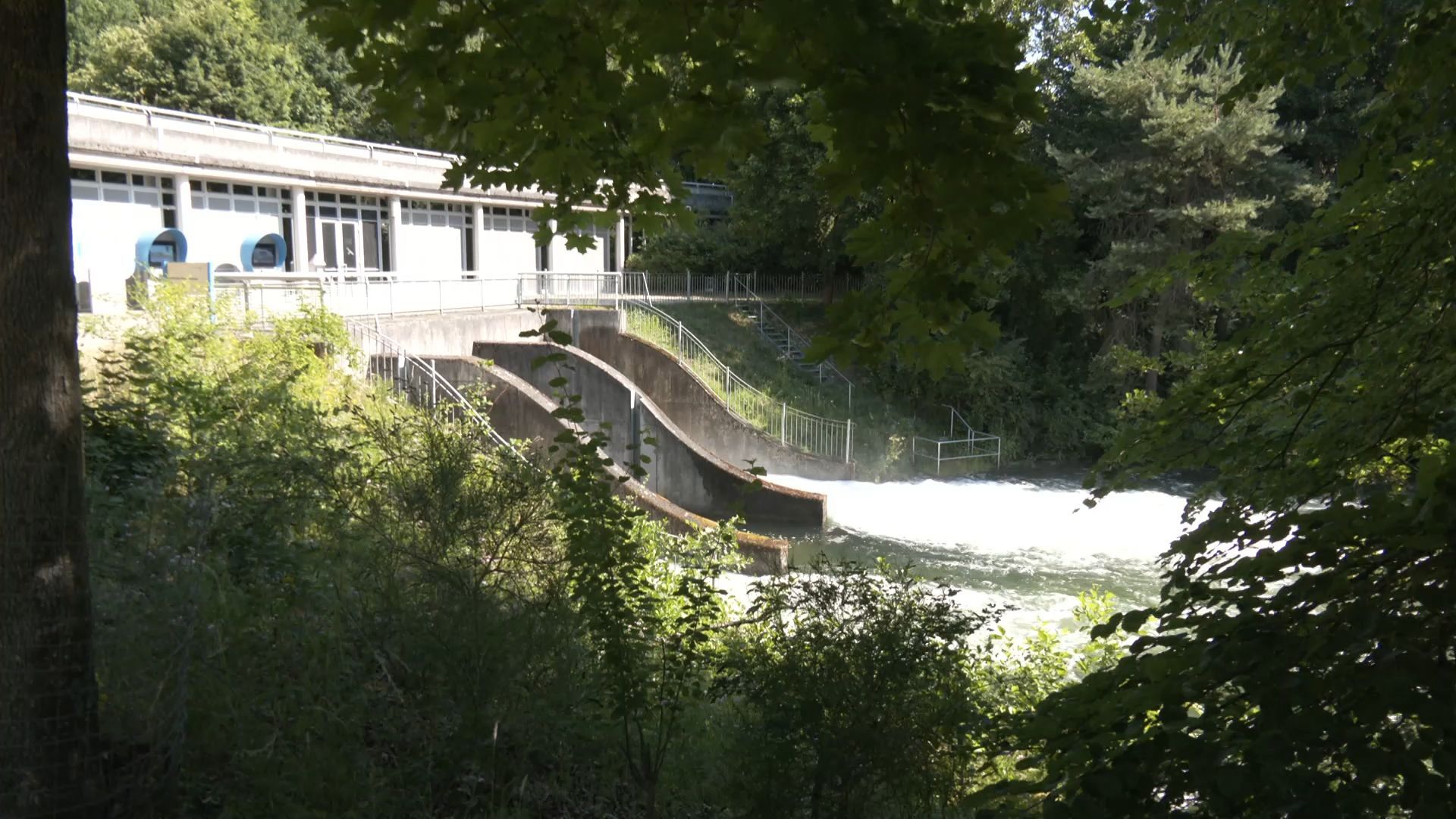 Severe Drought in the Region: Brombachsee is Being Drained