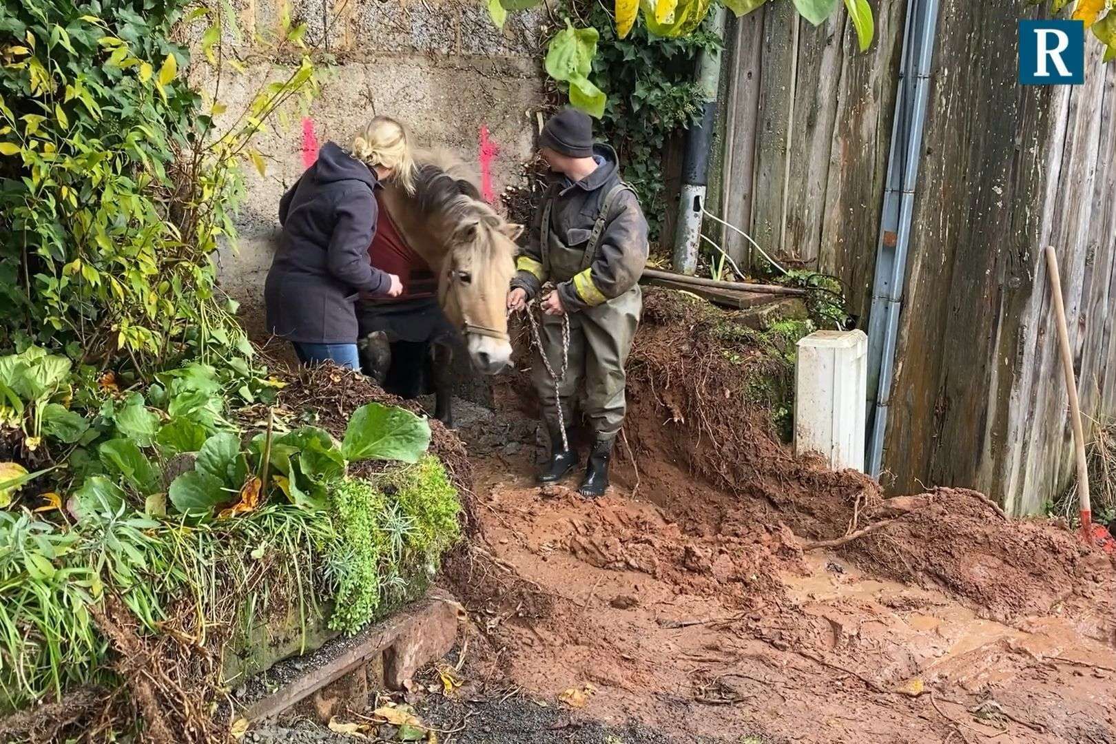 Pferd aus Güllegrube gerettet