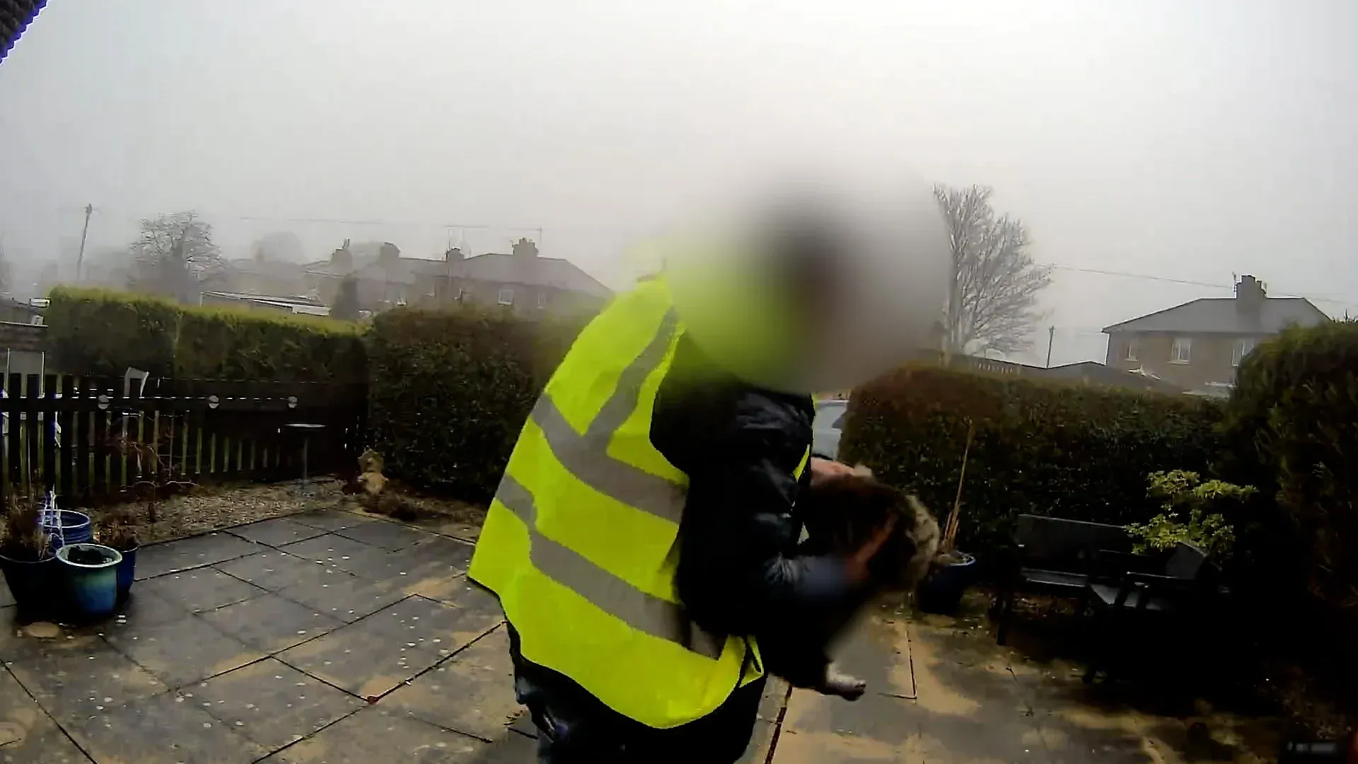 Video: Amazon-Lieferfahrer beim „Katzendiebstahl“ vor der Haustür erwischt