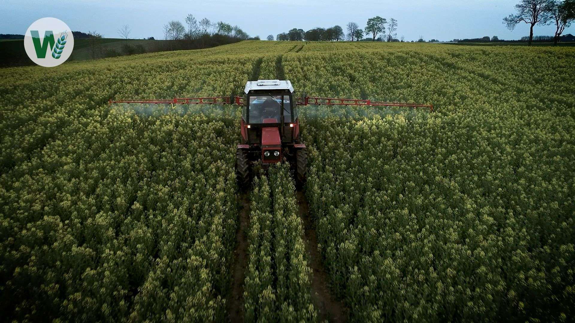 Pesticides Explained: What They Are, How They Work, and Why We Need Them