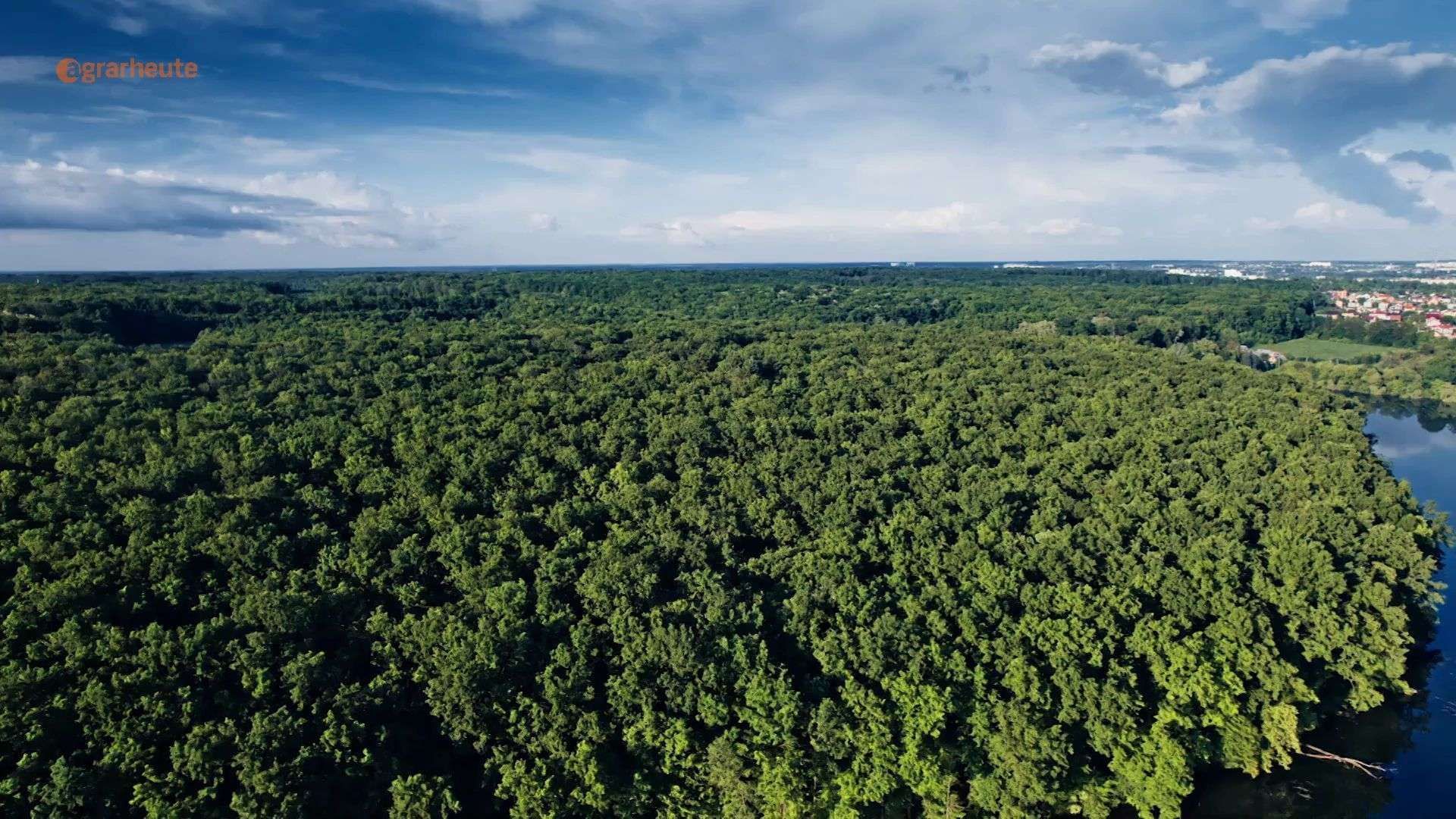 Authority buys forester forest plot: expropriation or not?