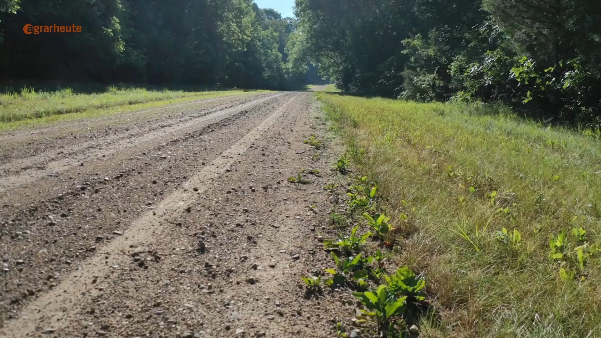 Forester forces dismantling of road - Road construction office encroaches on private forest land