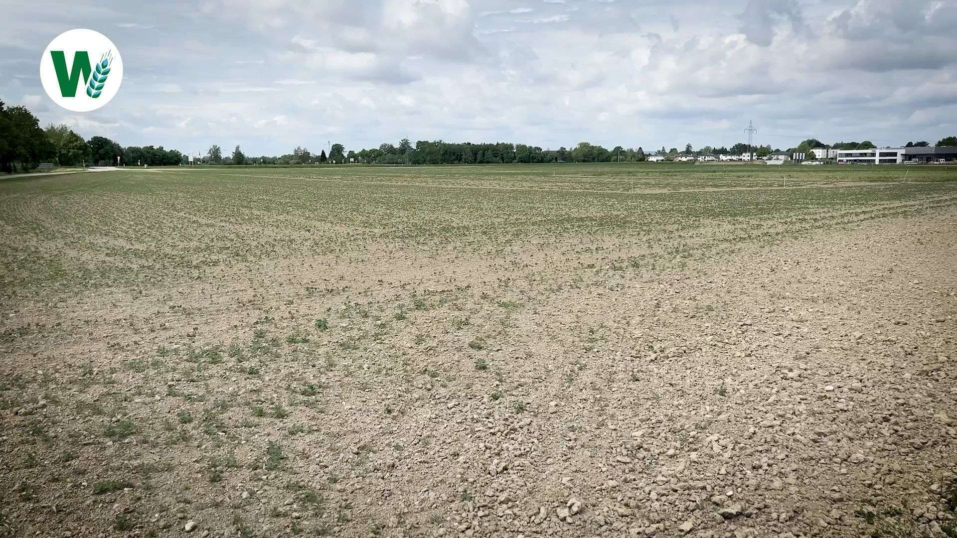 Video: Sojasaat aus Österreich: eine europäische Erfolgsgeschichte.