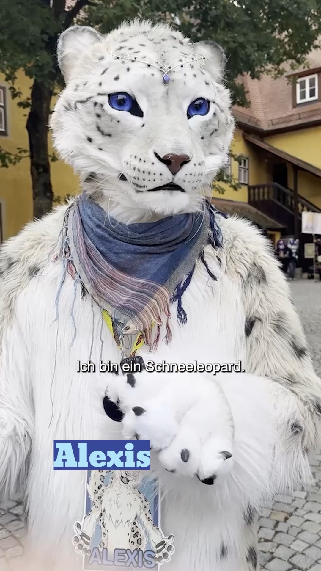 Video: In Tierkostümen durch Dinkelsbühl