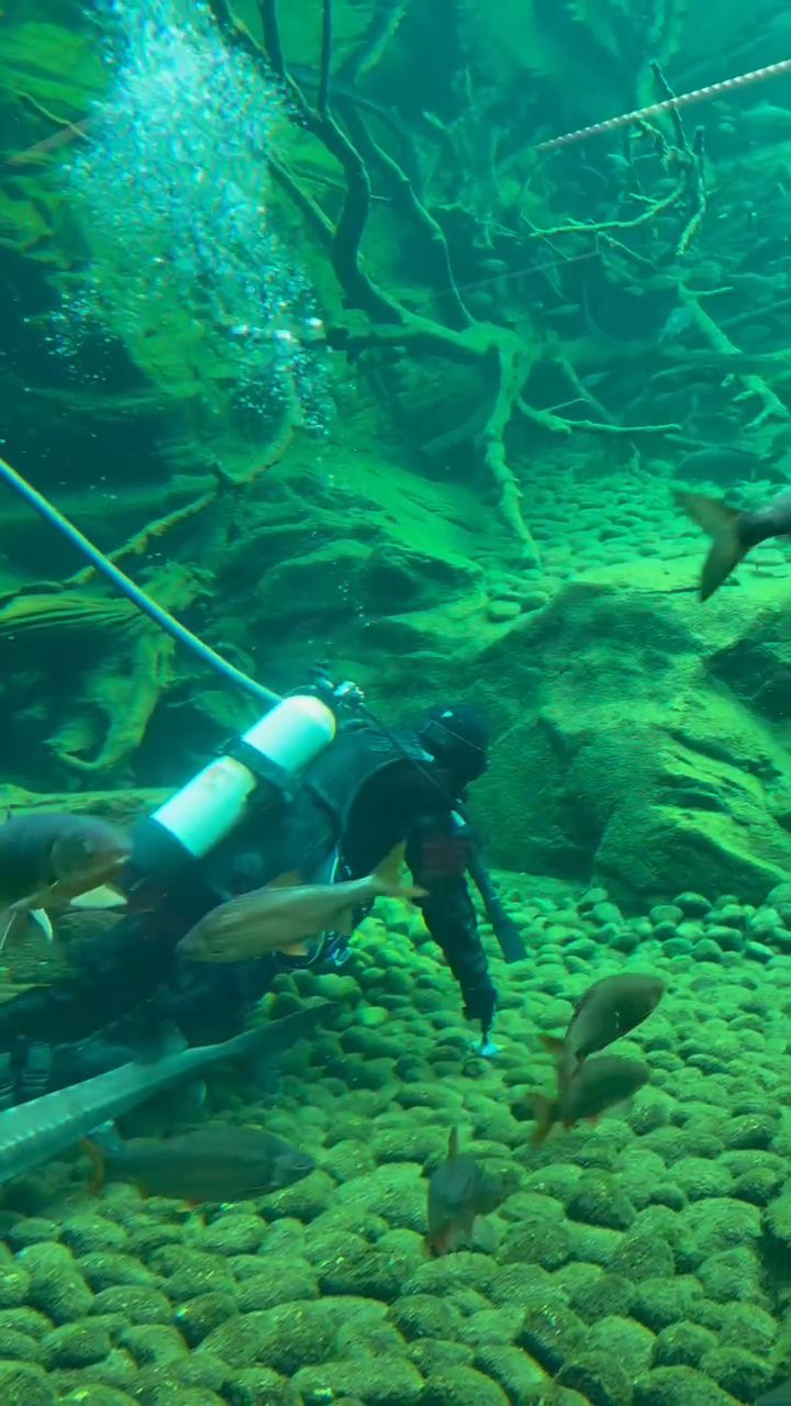Cleaning on Dive Station