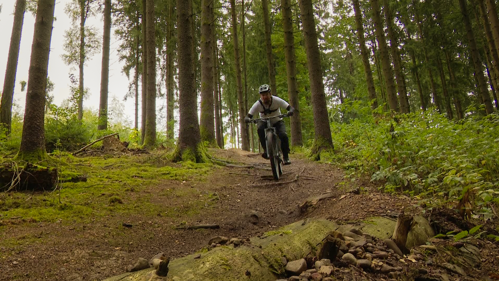 Video: So geht Mountainbiken und Wandern im Augsburger Wald ohne Stress