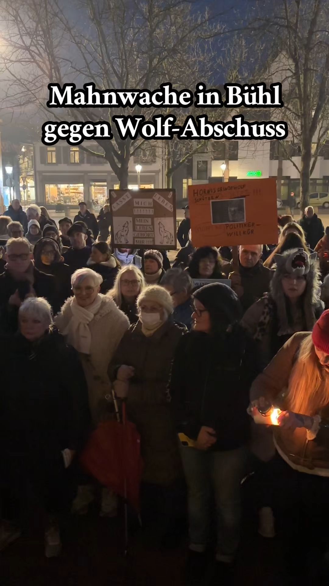 250-Menschen-bei-Mahnwache-f-r-Wolf-in-B-hl