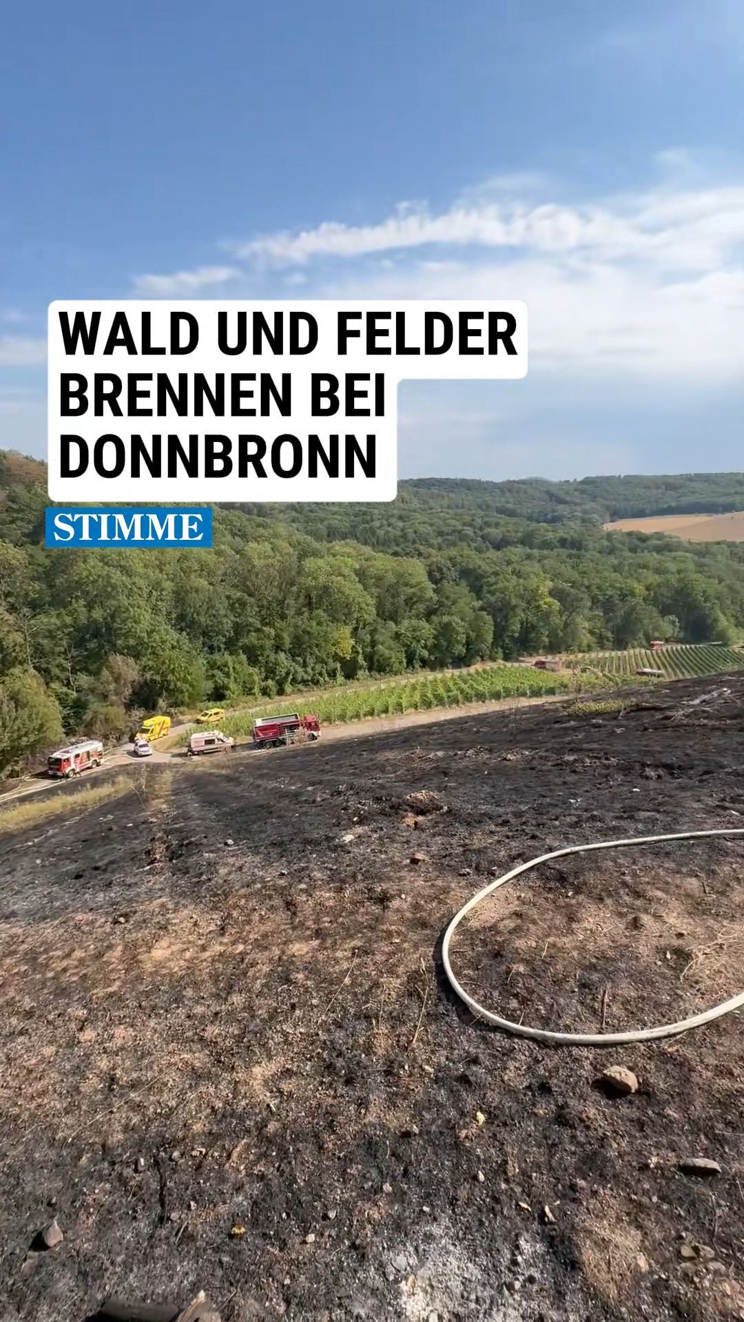 Video: Wald und Felder brennen bei Donnbronn