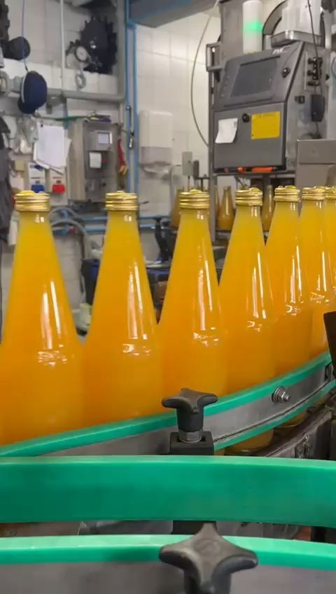 Apple Juice Production at Obstkelterei Heide in Siebenlehn: